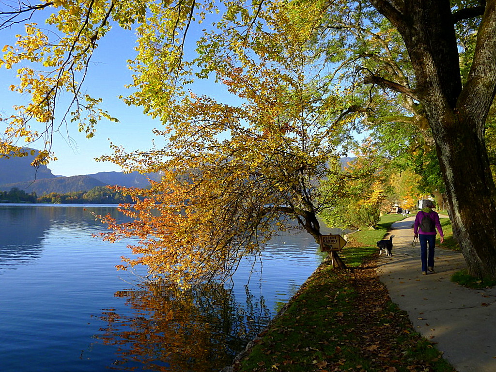 Bled Lake